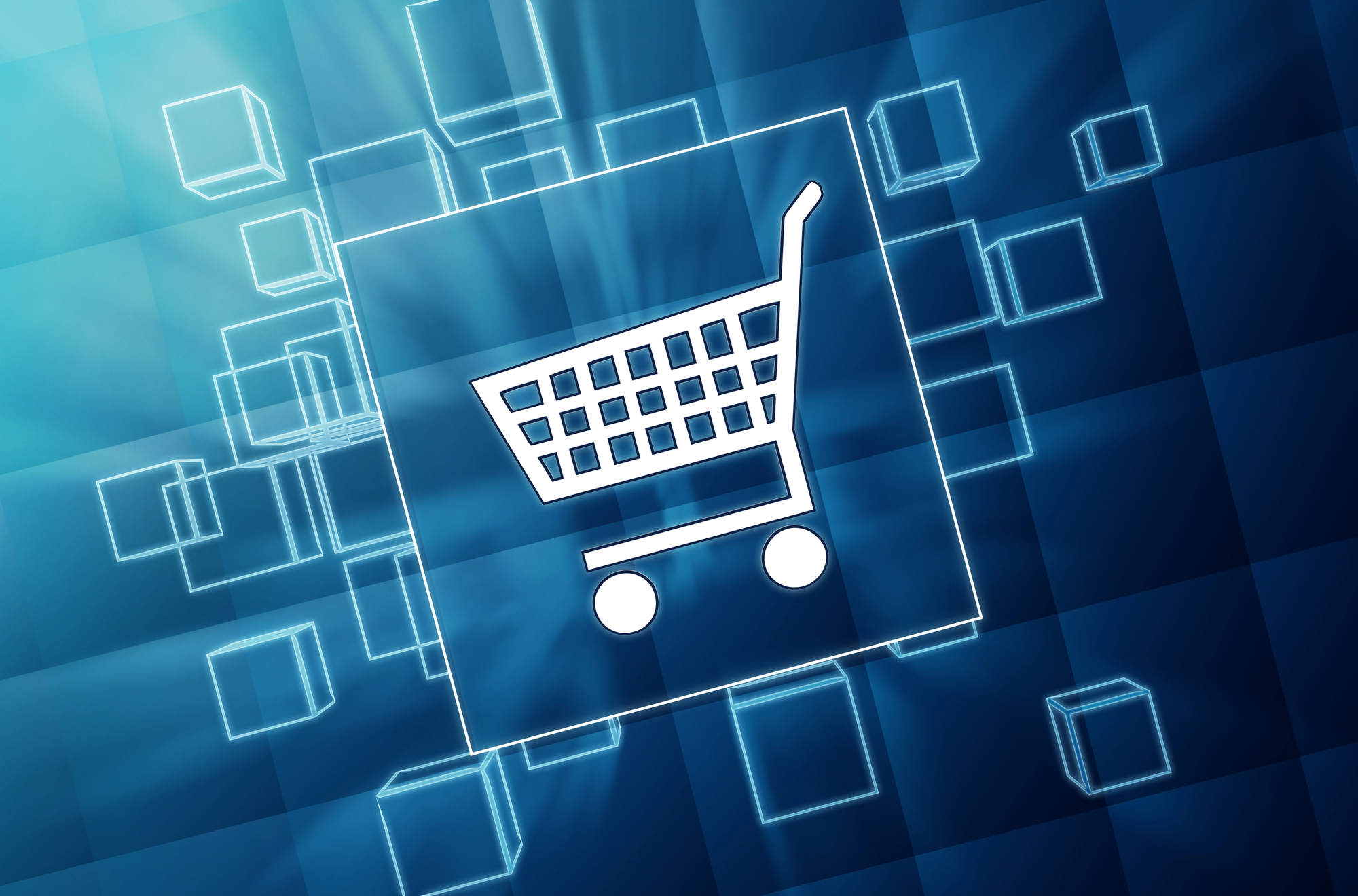 Ecommerce shopping cart